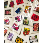 Stack of floral photo cards with assorted colorful blooms
