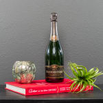 Sparkling wine bottle with a small air plant and decorative candle holder on a red book