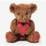 Brown teddy bear holding a red heart with heart patches on its feet