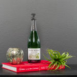 Sparkling wine bottle beside a small potted air plant and decorative candle holder on a red book
