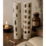 Two cylindrical tubes printed with beetle illustrations sit beside a candle and bottle.