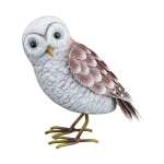 Bar owl