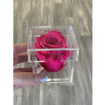 Bright pink rose in a clear acrylic box
