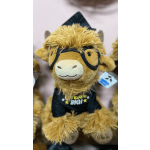 Graduation PLUSHIE