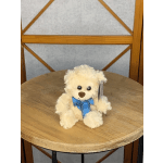Small White Tedy Bear