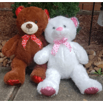Two plush teddy bears sitting side by side, one brown and one white, with heart-patterned bows.