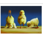 Yoga Chicks CARD