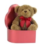 Teddy bear in a red heart-shaped gift box with a ribbon