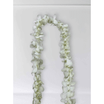White Single Orchid Leis