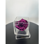 Petit Forever Boîte (Dark Magenta)