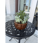 Succulent Garden