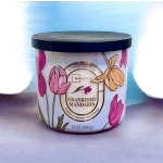 Cranberry Mandarin Candle