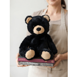 Black plush teddy bear held on top of two books