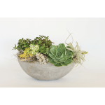 Succulent arrangement in a gray bowl planter