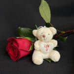 Red rose with a small teddy bear holding a heart