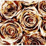 Close-up of metallic gold roses filling the frame