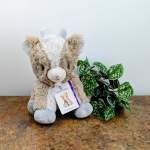Plush llama beside a potted green houseplant
