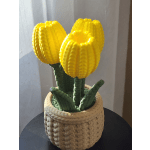 Three yellow tulip-like blooms in a woven basket pot