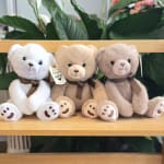 Three plush teddy bears sit on a wooden shelf with a plant in the background.