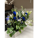 Blue roses and white lilies arranged in a rectangular wooden planter