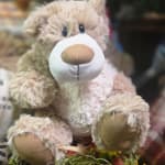 Plush teddy bear with a tan and white face