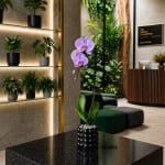 Purple orchid in a black textured pot on a glossy table