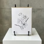 Framed botanical line drawing of daffodils on a display stand