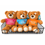 Three teddy bears in colorful "Get Well Soon" shirts in a wire basket