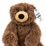 Brown plush teddy bear with a tag on a white background
