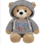 Teddy bear in a gray hoodie with "Get Well Soon" text