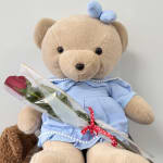 Teddy bear in a blue dress holding a wrapped red rose