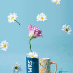 FLOWRS TEA: Dreamy Delights