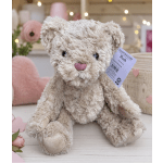 Plush teddy bear with a pink heart nose and Valentine’s Day tag