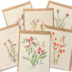Greeting Card - Marissa Kay plantable see paper