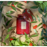 Voluspa Tomato Trellis Large Glass Jar Candle 18 oz
