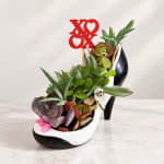 Succulent arrangement in a high-heel shoe planter with a red XO topper