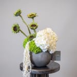 White hydrangea and green sunflowers in a dark vase