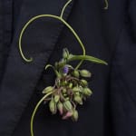 Small boutonniere with green buds and purple accents on a dark jacket