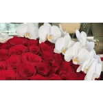 Red roses with white orchids in a floral arrangement