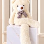 Cream teddy bear with a plaid bow sitting on a decorative box