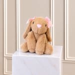 Plush bunny with pink bows sitting on a white pedestal