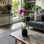 Potted purple orchids on a coffee table in a plant-filled living room