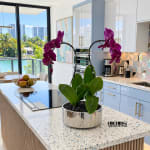 Purple orchid plant in a silver pot on a kitchen island