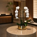 White orchids in a gold pot on a round stone table
