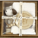 Welcome Baby Gift Set 