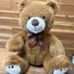 Brown teddy bear with a plaid bow sitting against a wood backdrop