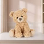 Plush teddy bear sitting on a white surface