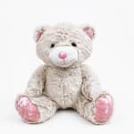 Plush teddy bear with pink accents sitting on a white background