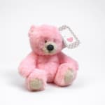 Pink plush teddy bear with a heart gift tag