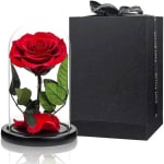 Single red rose under a glass dome beside a black gift box